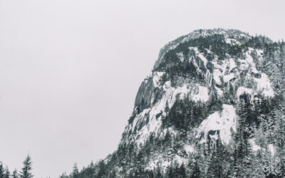 Pines, Jay-Z and a Meditation for Ash Wednesday