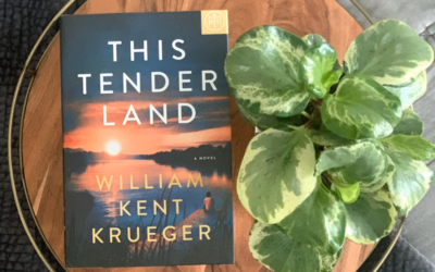 Book Review: This Tender Land